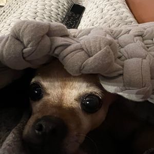 Meet your Posher, Amber